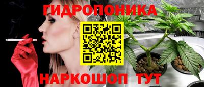 гидра Ачхой-Мартан