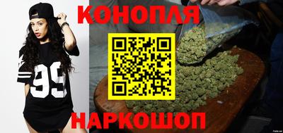 гидра Ачхой-Мартан